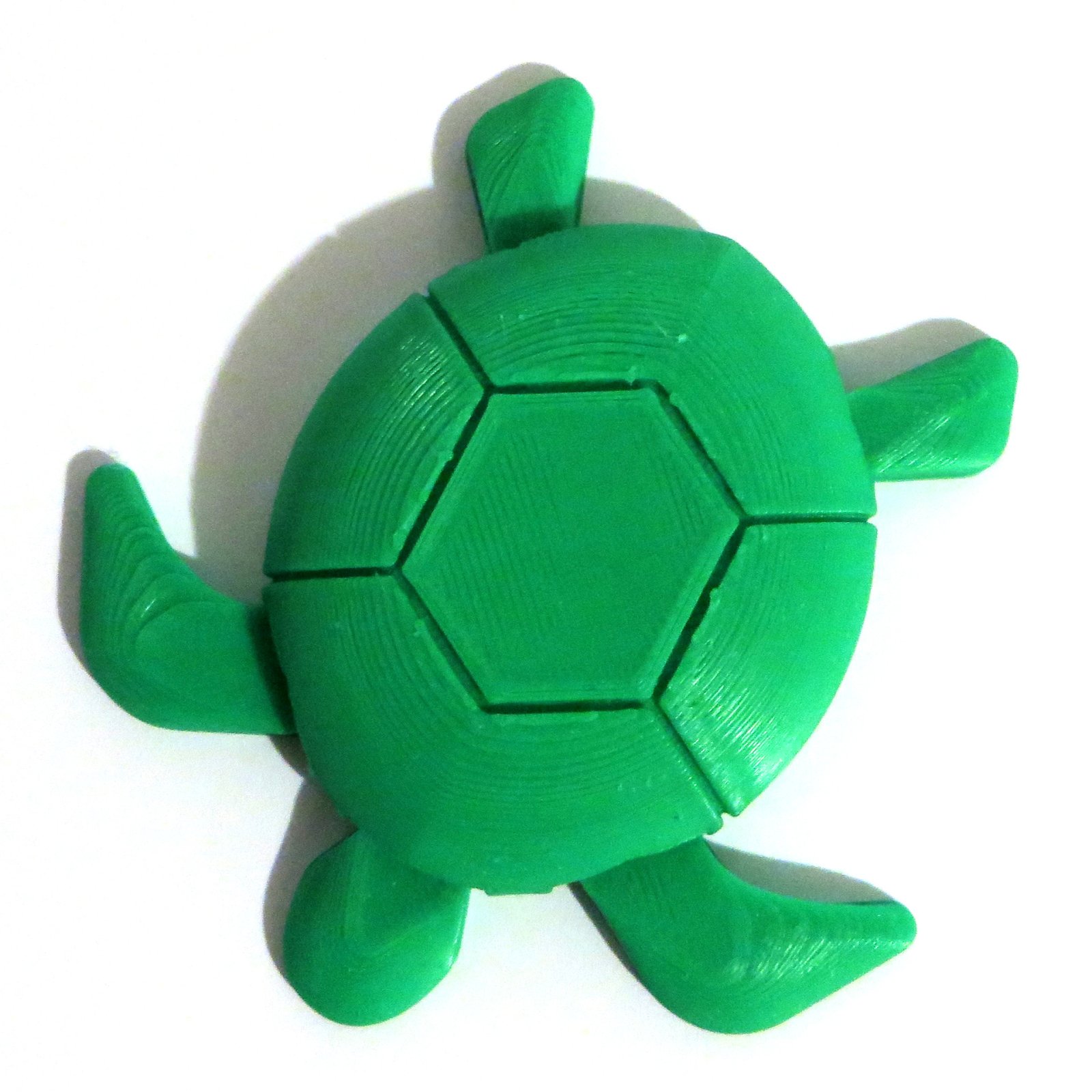 prod_156-broasca testoasa de mare (verde), culcat